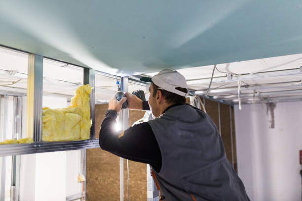 Professional Insulation Contractor in GA